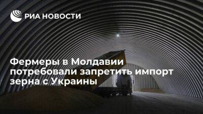 Фермеры в Молдавии потребовали ввести запрет на импорт зерна и других продуктов с Украины