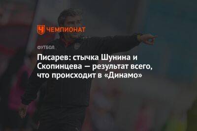 Писарев: стычка Шунина и Скопинцева — результат всего, что происходит в «Динамо»