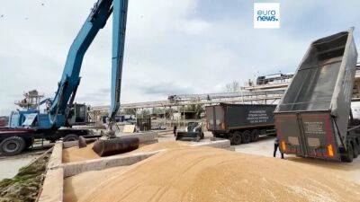 Еврокомиссия и соседние с Украиной страны гарантируют экспорт зерна
