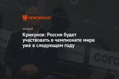 Крикунов: Россия будет участвовать в чемпионате мира уже в следующем году