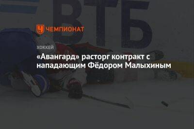 «Авангард» расторг контракт с нападающим Фёдором Малыхиным