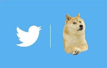 Twitter изменил логотип на изображение собаки - charter97.org - Белоруссия - Twitter