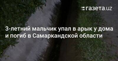 3-летний мальчик упал в арык у дома и погиб в Самаркандской области