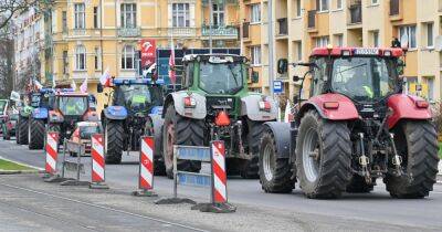 Польские фермеры пригрозили испортить визит Зеленского в Варшаву из-за украинского зерна