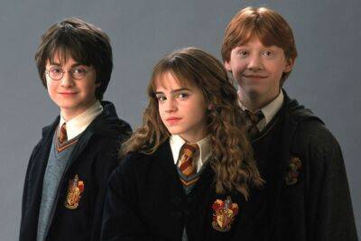 Гарри Поттер - Warner Bros. планирует создать новый сериал о Гарри Поттере – по сезону на каждую из 7 книг Роулинг - itc.ua - Украина