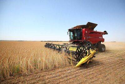 Bloomberg: засушливая погода в Канаде может привести к дефициту пшеницы на мировых рынках