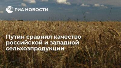 Президент Путин: российская сельхозпродукция по качеству выше, чем любая западная