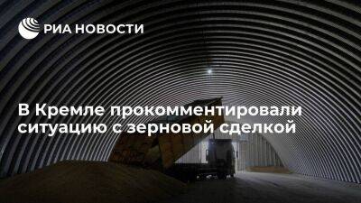 Песков заявил, что часть зерновой сделки до сих пор не реализовали и не выполнили