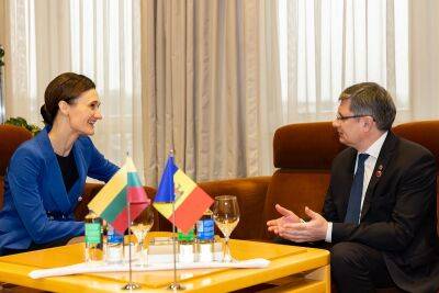 Гросу: Молдавии нужны реформы не ради Брюсселя или Вильнюса, а ради жителей