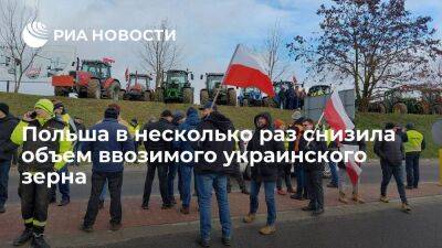 Польша из-за протестов фермеров снизила объем ввоза украинского зерна в пять-шесть раз
