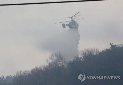 Сильный ветер третий день разжигает лесные пожары в Южной Корее