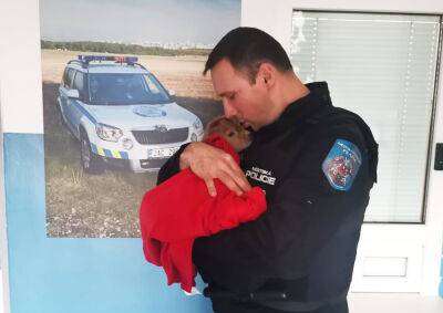 Полиция Праги в шуточном стиле рассказала о спасении козленка