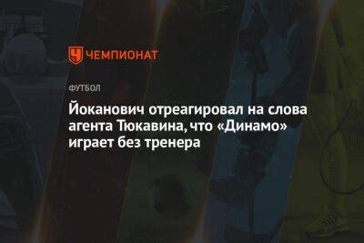 Йоканович отреагировал на слова агента Тюкавина, что «Динамо» играет без тренера
