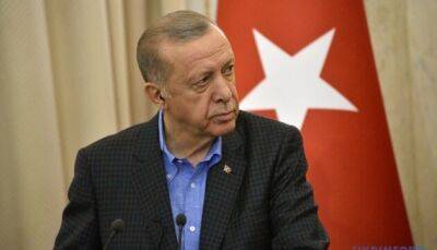 Эрдоган призвал реформировать Совбез ООН: что известно