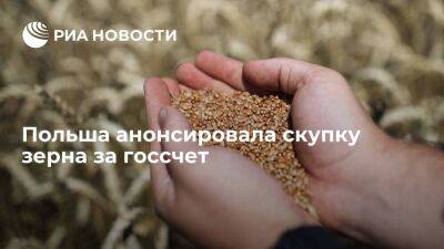 Минсельхоз Польши будет скупать зерно за госсчет, чтобы справиться с наплывом с Украины