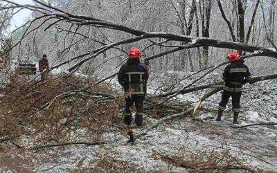 Сотни сваленных деревьев, гололед, заблокированные дороги: Украину накрыла жесткая стихия со снегом. Фото