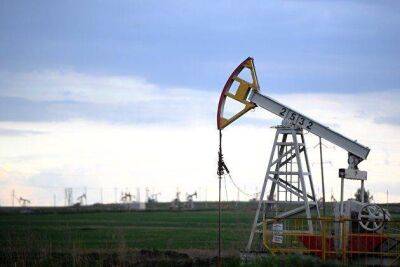 Фьючерсы на нефть Brent снизились до 84,58 доллара за баррель после слабого роста утром