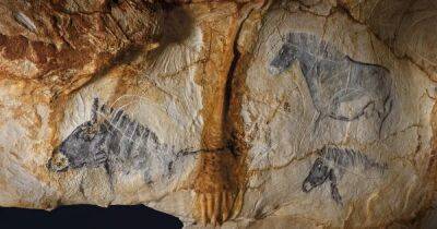 Надежная защита от времени. Пещера Коске хранит сотни наскальных рисунков и трагическую историю