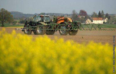 Число фермерских хозяйств в Евросоюзе сократилось на 37% за 15 лет
