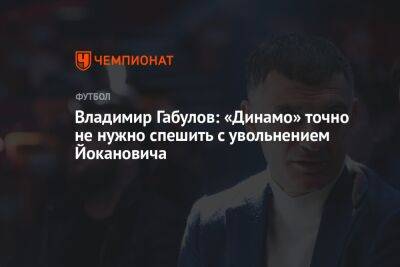 Владимир Габулов: «Динамо» точно не нужно спешить с увольнением Йокановича