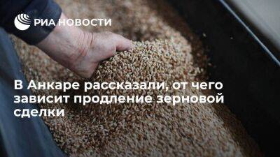 Владимир Путин - Василий Небензя - Ибрагим Калын - Мартин Гриффитс - Калын: продление зерновой сделки зависит от удовлетворения ожиданий Москвы - smartmoney.one - Москва - Россия - Турция