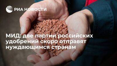 Замглавы МИД Вершинин: две партии российских удобрений скоро отправят нуждающимся странам