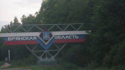 Россияне заявили, что в Брянскую область пыталась прорваться "украинская ДРГ"