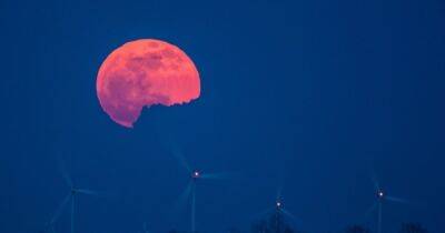 На этой неделе в небе будет видна "Розовая Луна": в чем ее секрет - focus.ua - США - Украина - Нью-Йорк - Нью-Йорк