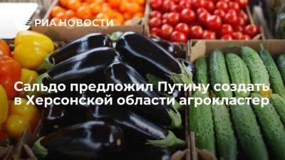 Врио главы Херсонской области Сальдо предложил Путину создать в регионе агрокластер