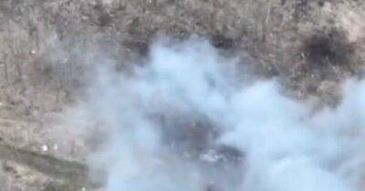 "Лютый враг дронов": ВСУ уничтожили новейшую радиолокационную станцию РФ "Репейник" (видео)