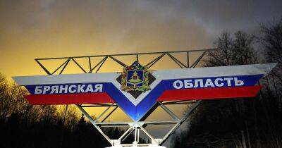 "Русский добровольческий корпус" заявил, что в Брянскую область РФ заходили их военные (ВИДЕО)