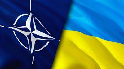 США и еще две страны не хотят давать Украине плану по вступлению в НАТО – FT