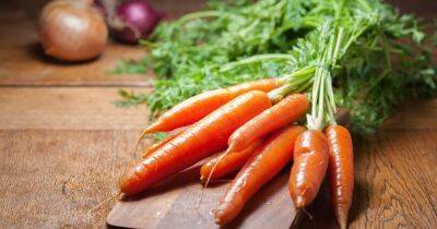 Будут ли дешеветь лук и морковь? | Новости Одессы
