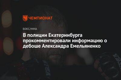 В полиции Екатеринбурга прокомментировали информацию о дебоше Александра Емельяненко