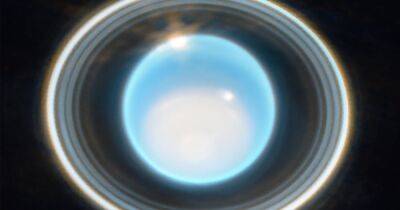 Невидимая особенность Урана. Телескоп Уэбб сделал потрясающий снимок ледяного гиганта (фото)