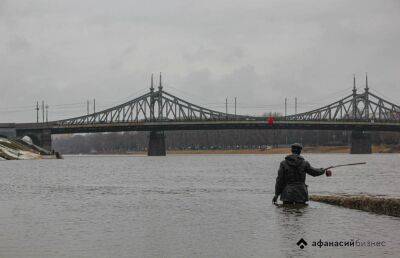 В Тверской области на трех реках уровень затопления опасный, на двух — вода в пойме