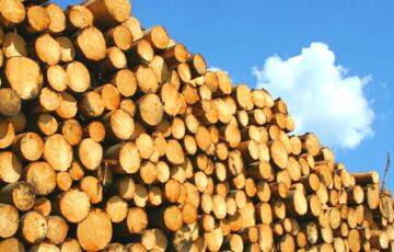 Литва полностью пресекла ввоз санкционной древесины из Беларуси