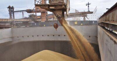 Украина согласилась прекратить импорт зерна в Польшу, но транзит остается, - министр
