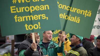 Фермеры ЕС - против беспошлинного импорта украинского зерна