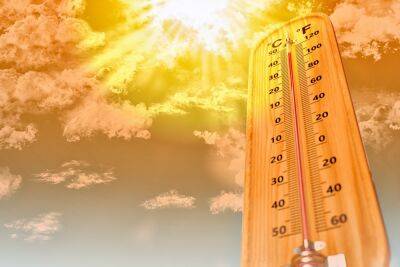 Климатологи: на Ближнем Востоке и в Африке смертность от жары повысится в 60 раз