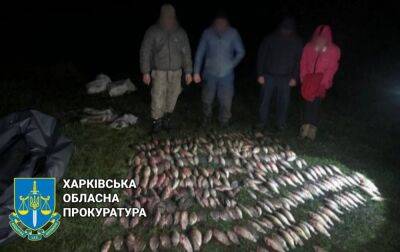 Наловил рыбы на полмиллиона: браконьер с Харьковщины заплатит штраф в 17 тысяч