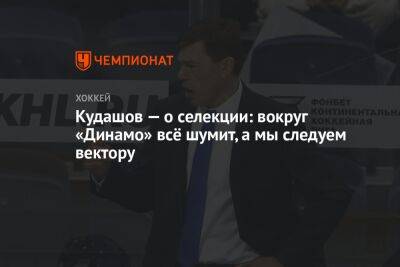 Алексей Кудашов - Кудашов — о селекции: вокруг «Динамо» всё шумит, а мы следуем вектору - championat.com