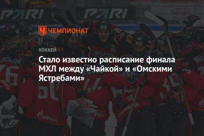 Стало известно расписание финала МХЛ между «Чайкой» и «Омскими Ястребами»