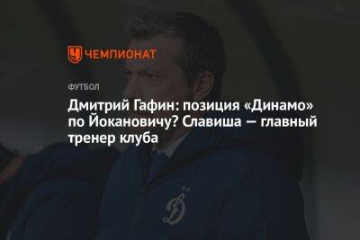 Дмитрий Гафин: позиция «Динамо» по Йокановичу? Славиша — главный тренер клуба