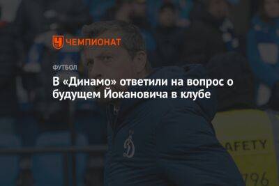 В «Динамо» ответили на вопрос о будущем Йокановича в клубе