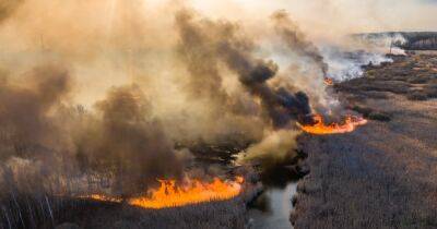 В Бурятии пожарные сжигали пожухлую траву и уничтожили половину села (ВИДЕО)