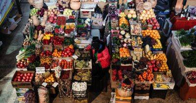 Огурцы, помидоры и перец: украинцев предупредили о новом изменении цен