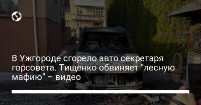 В Ужгороде сгорело авто секретаря горсовета. Тищенко обвиняет "лесную мафию" – видео