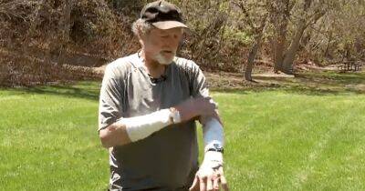 Отбивался камнями: выживший 70-летний турист рассказал о схватке с пумой (видео)