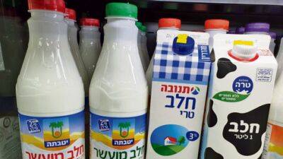В Израиле с 1 мая резко подорожало молоко: сколько теперь придется платить